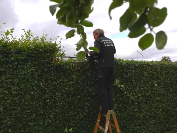 Anlægsgartner og havemand